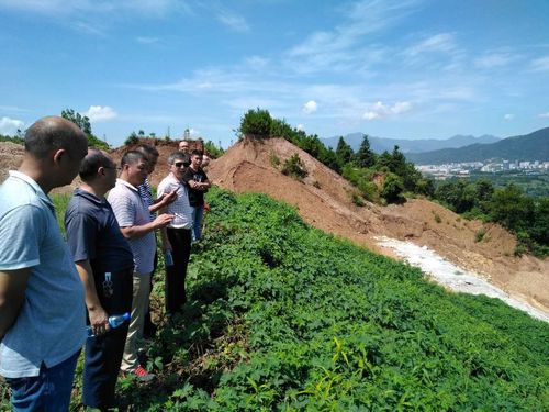 市渣土办牵头相关单位对中心城区建筑垃圾消纳场进行安全隐患排查